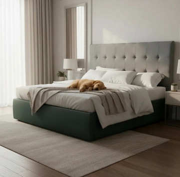 Top Living Room Furniture Trends in New Zealand This Year