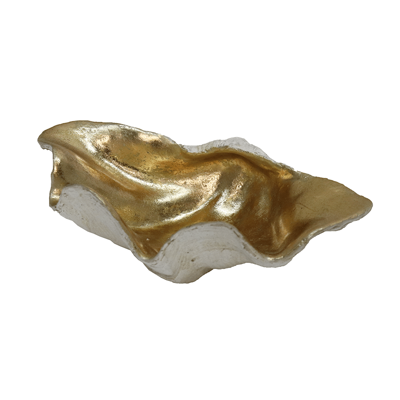 Clam Shell Champagne Small