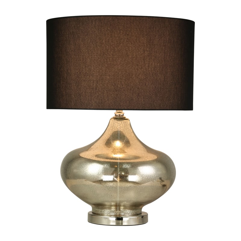 Mercury Lamp + Black Shade