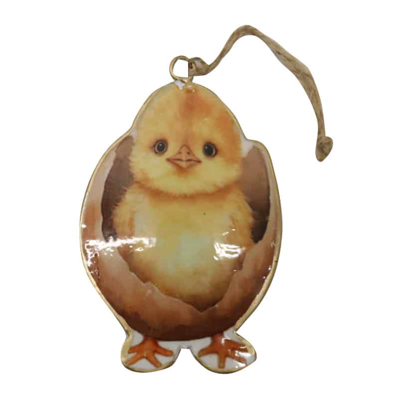 Vintage Cracked Egg Chick