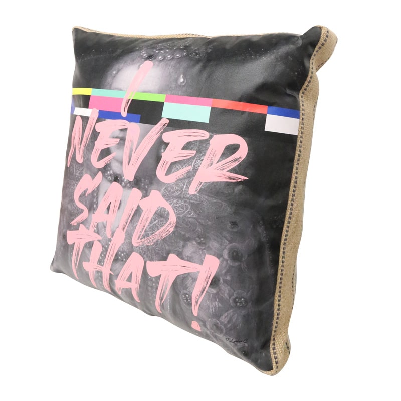 Art Cushion Never Said That