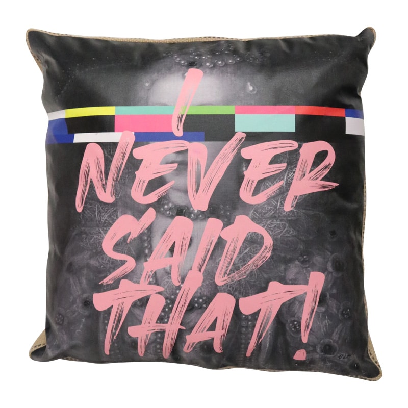 Art Cushion Never Said That