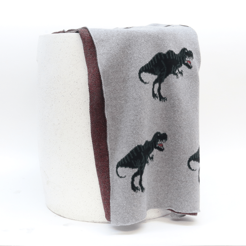 Cotton Dinosaur Throw 80×100