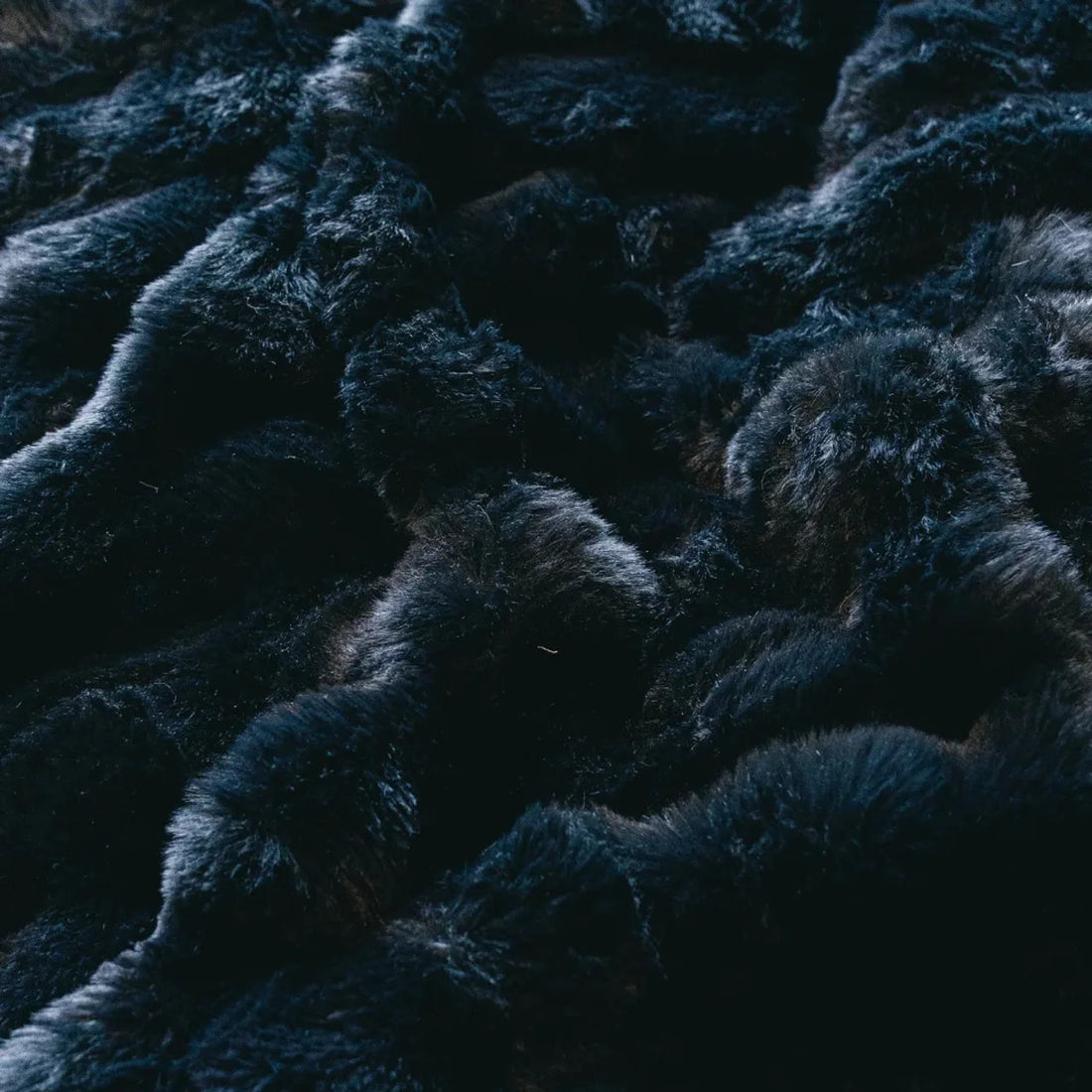 Black Bear Throw 150x200xm