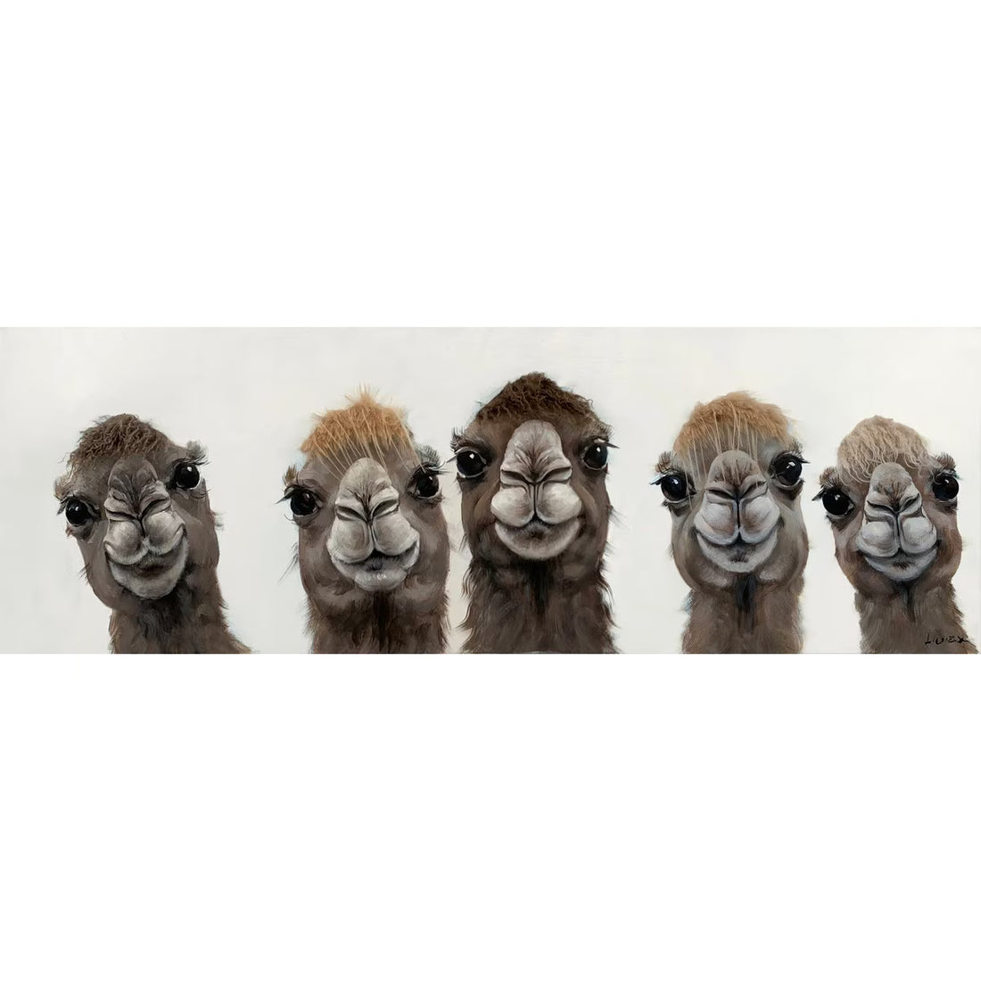 Bad Hair Day - 5 Lama Canvas (ZL6002-RFA)