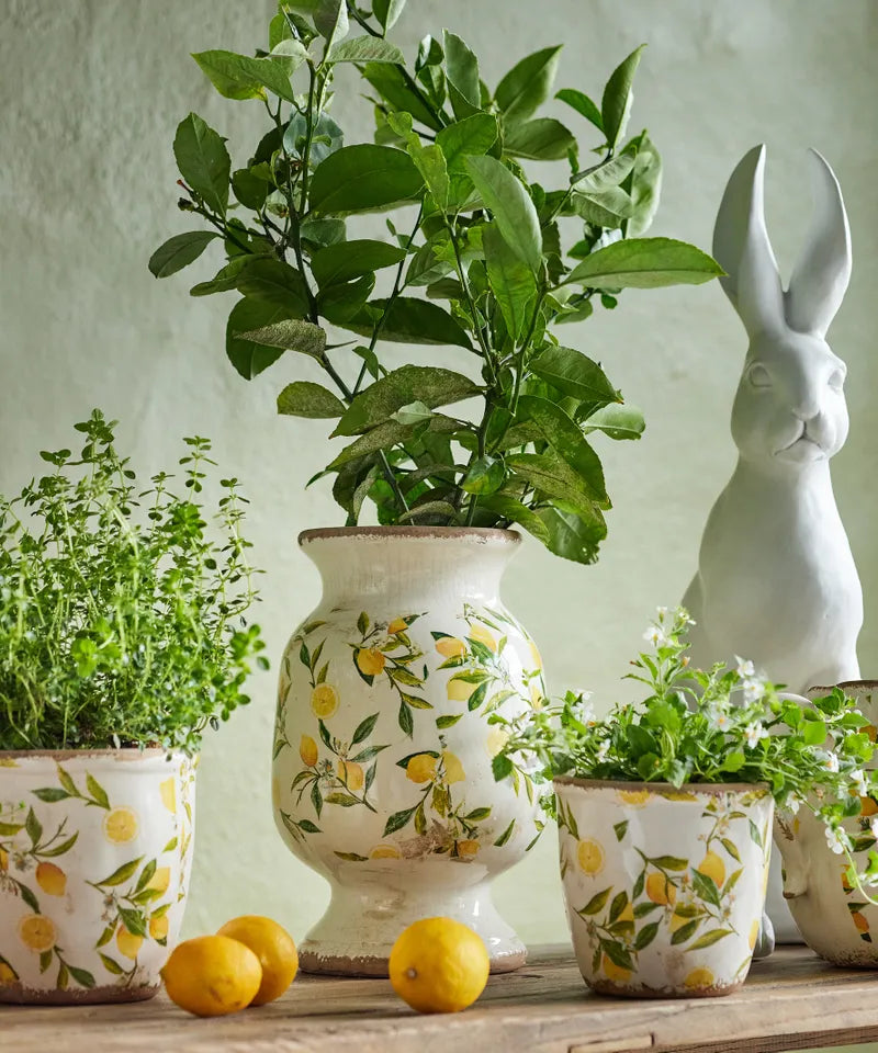 Botanical Lemon Urn (NM0014) FC
